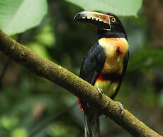 Las Arrieras Nature Reserve