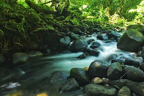 Las Arrieras Nature Reserve