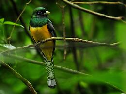 Las Arrieras Nature Reserve