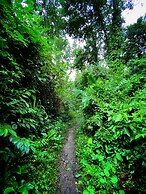 Las Arrieras Nature Reserve