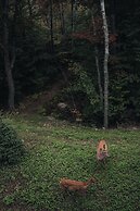 201 Verbier Building 4