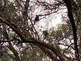 Kijabe Sunset View Guesthouse