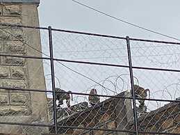 Kijabe Sunset View Guesthouse