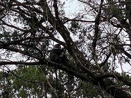 Kijabe Sunset View Guesthouse