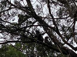 Kijabe Sunset View Guesthouse