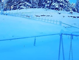 Apple Orchard Resort