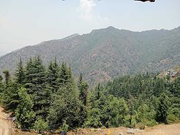 Apple Orchard Resort