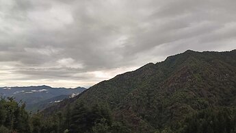 Apple Orchard Resort