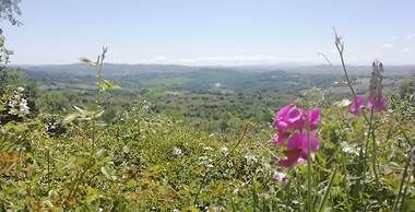 Home by Mel G Manciano