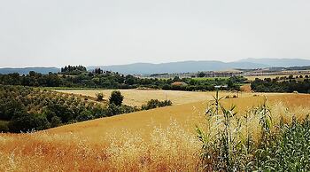 Home by Mel G Manciano