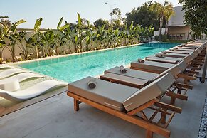 VENZI AYAYORGI ADULT ONLY +15