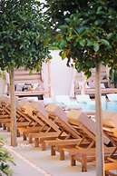 VENZI AYAYORGI ADULT ONLY +15