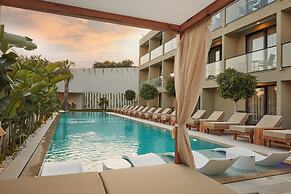 VENZI AYAYORGI ADULT ONLY +15