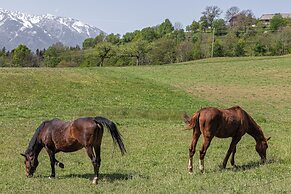 Chalet Jurij & Lena Embraced by Nature