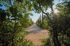 Villa Vallone Luxury With Pool