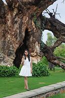 Radisson Resort Hatgad Saputara