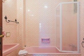 Golden and Silver Apartments