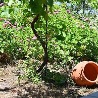 Ibiscus Cottage in Paradisi Near the Beach