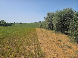 Agriturismo Il Migliarino