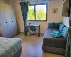 Oasis-Dream Holidays - La Petite France