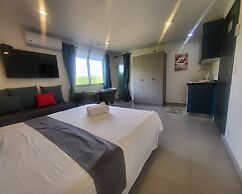 Oasis-Dream Holidays - La Petite France