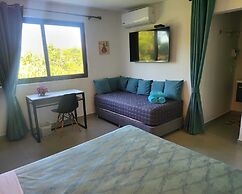 Oasis-Dream Holidays - La Petite France