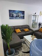 appartement haut de standing