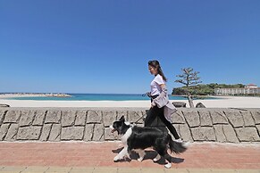 Nanki Shirahama Wan Wan Paradise