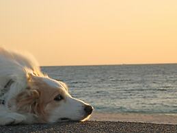 Nanki Shirahama Wan Wan Paradise