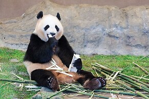 Nanki Shirahama Wan Wan Paradise