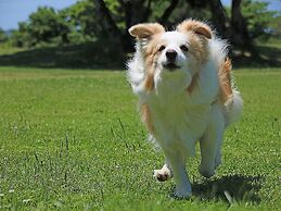 Nanki Shirahama Wan Wan Paradise