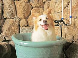 Nanki Shirahama Wan Wan Paradise