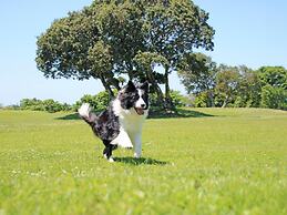 Nanki Shirahama Wan Wan Paradise