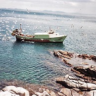 Les Roques 6 in Roses