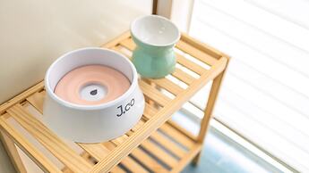 Yangpyeong Dodam Dodam Pension