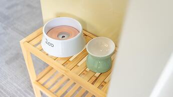 Yangpyeong Dodam Dodam Pension