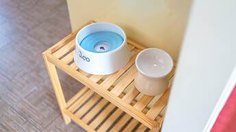 Yangpyeong Dodam Dodam Pension