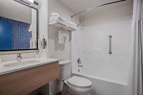 Spark by Hilton Branson Meadows