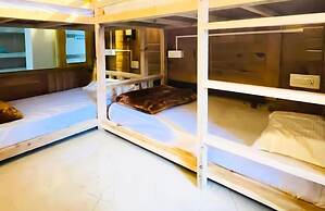 Jungle by sturmfrei Kasol