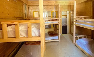 Jungle by sturmfrei Kasol