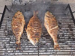 Authentic Stone House Lola