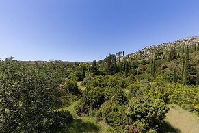 Apartment Green Oase