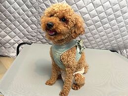 HAKIMASUE Outdoor Village