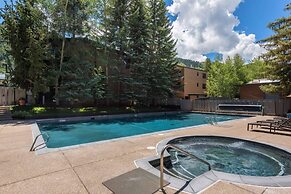 Chateau Roaring Fork Condo 31