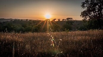 Herdade da Maceira