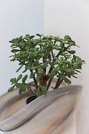 Apartman Super Marijo