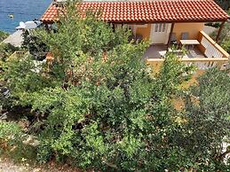 Apartments Vinko Mljet