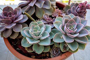 Apartments Blažević