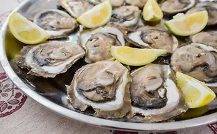 Apartments More & Ja