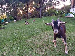 Alojamiento rural la pradera